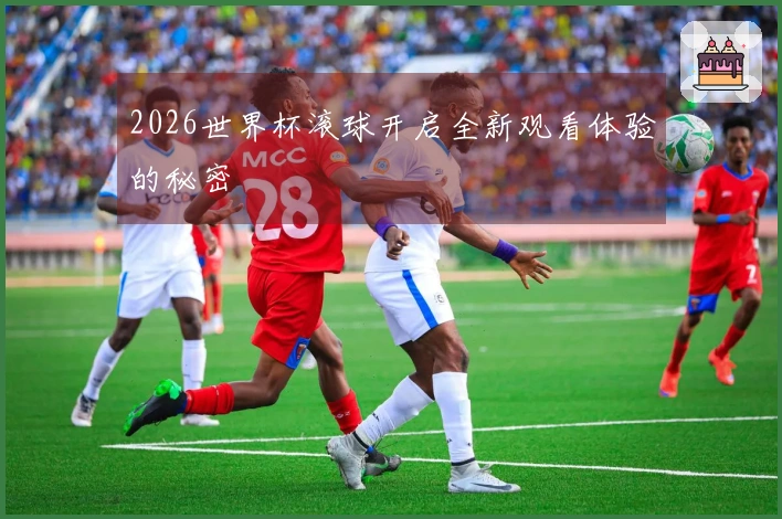 2026世界杯滚球开启全新观看体验的秘密