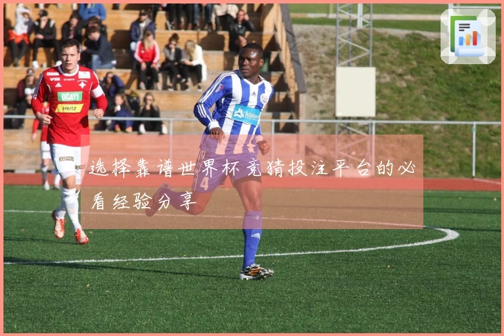 选择靠谱世界杯竞猜投注平台的必看经验分享