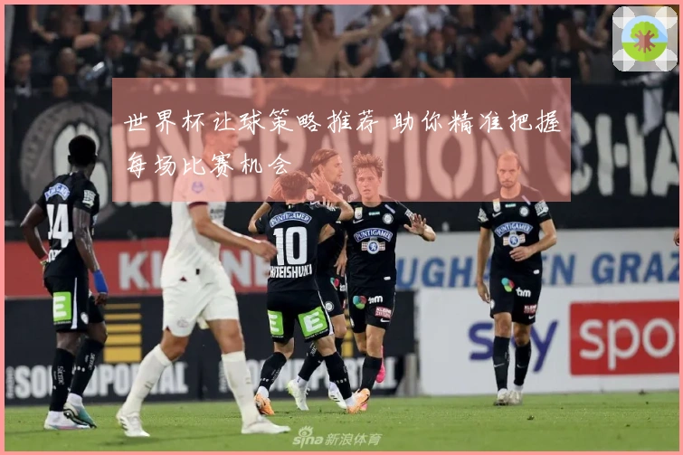 世界杯让球策略推荐 助你精准把握每场比赛机会