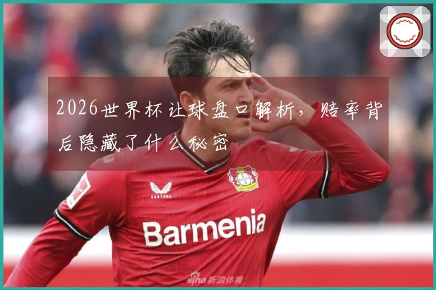 2026世界杯让球盘口解析，赔率背后隐藏了什么秘密