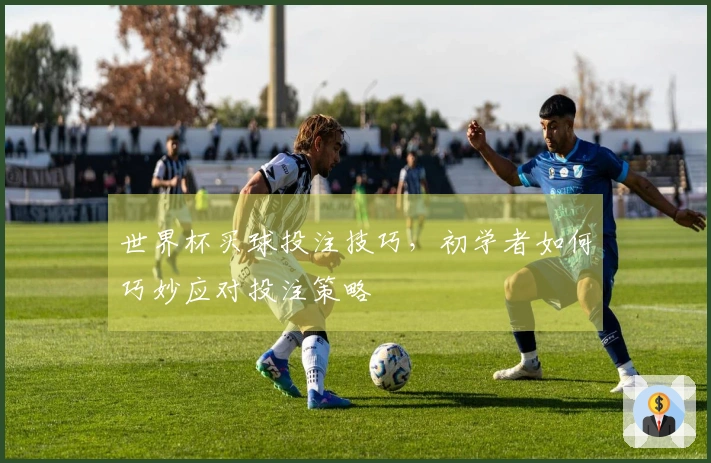 世界杯买球投注技巧，初学者如何巧妙应对投注策略