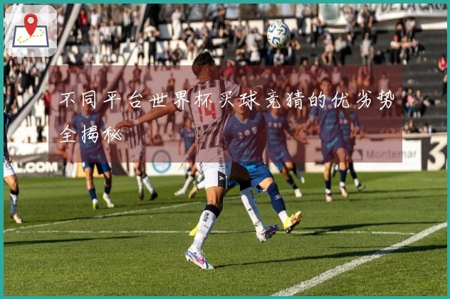 不同平台世界杯买球竞猜的优劣势全揭秘