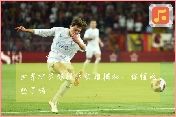 世界杯买球投注渠道揭秘，你懂这些了吗