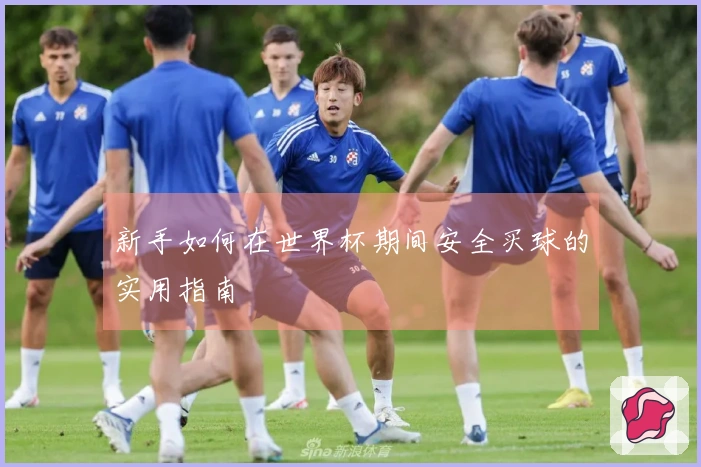 新手如何在世界杯期间安全买球的实用指南