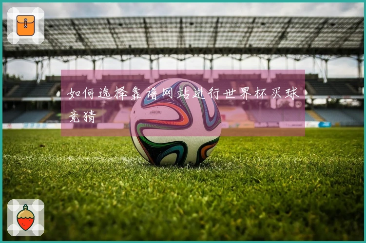 如何选择靠谱网站进行世界杯买球竞猜