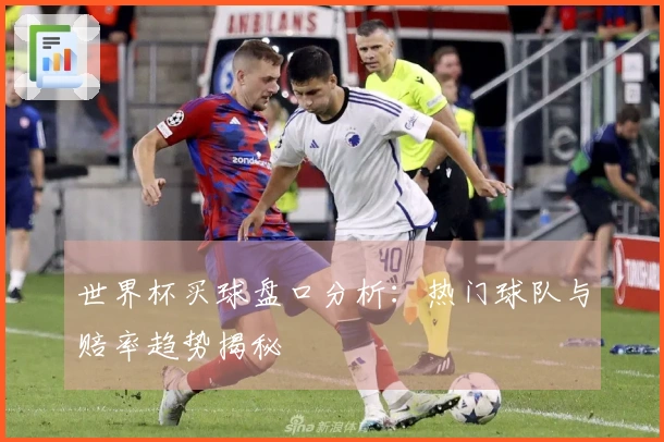 世界杯买球盘口分析：热门球队与赔率趋势揭秘
