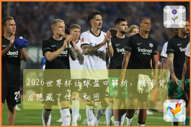 2026世界杯让球盘口解析，赔率背后隐藏了什么秘密