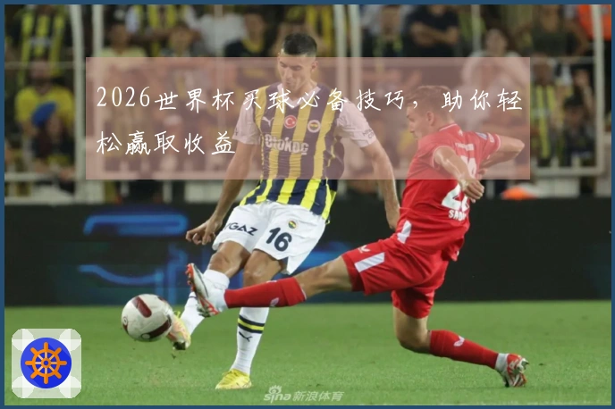 2026世界杯买球必备技巧，助你轻松赢取收益