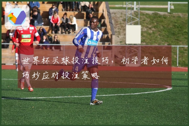 世界杯买球投注技巧，初学者如何巧妙应对投注策略