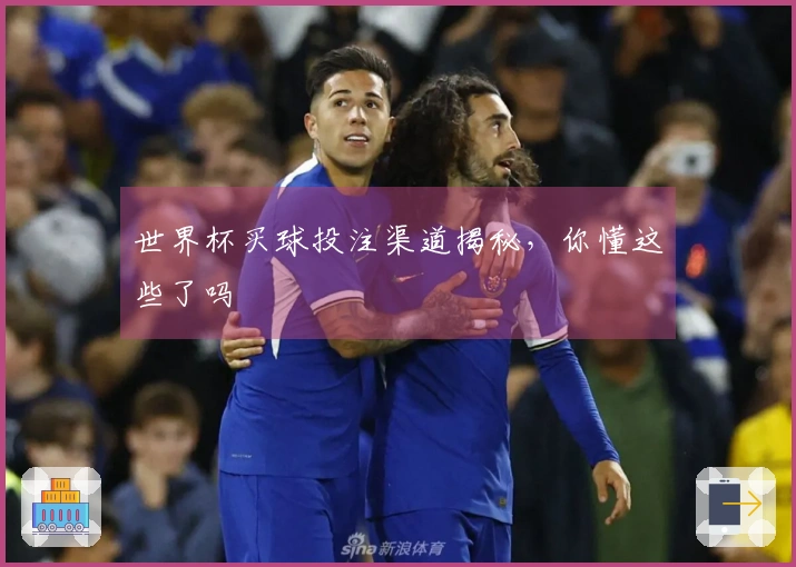 世界杯买球投注渠道揭秘，你懂这些了吗
