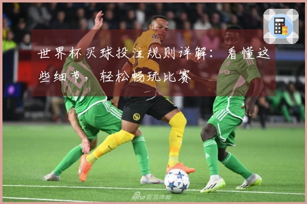 世界杯买球投注规则详解：看懂这些细节，轻松畅玩比赛